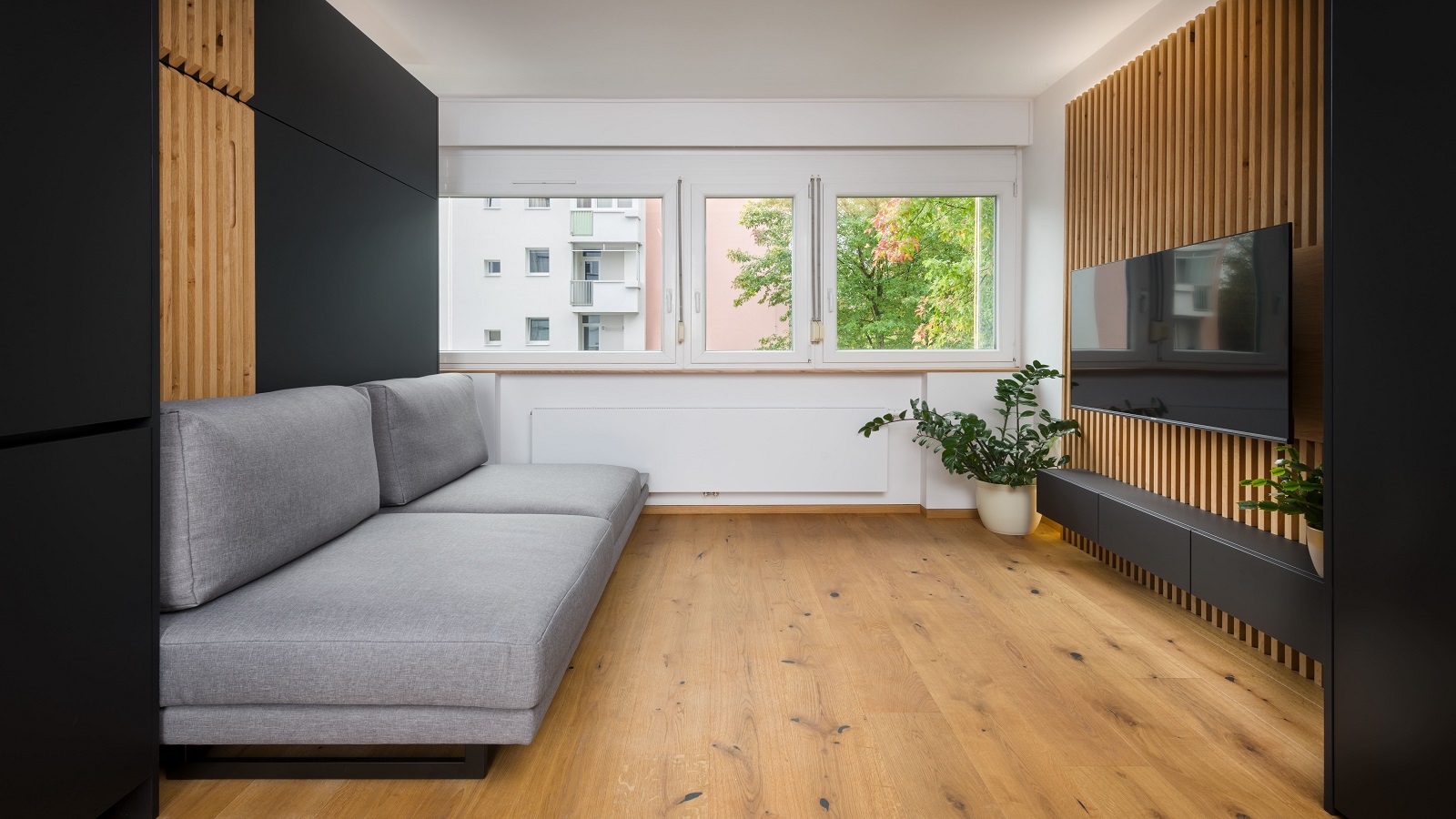 Living room in a studio apartment, with a wooden floor, a grey sofa and a wall-mounted TV